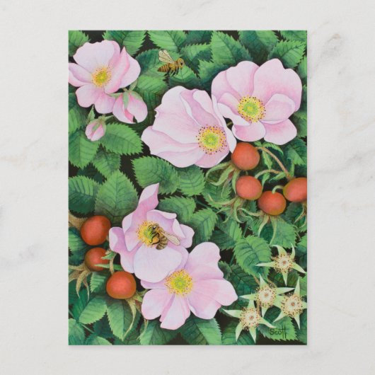 Carte Postale Travail d'équipe 2011 (Devant)