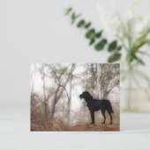 Carte Postale Travailler le Scooby de chien au travail Conservat (Debout devant)