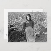 Carte Postale Travailleur migrant à côté d'un champ de coton (Devant / Derrière)