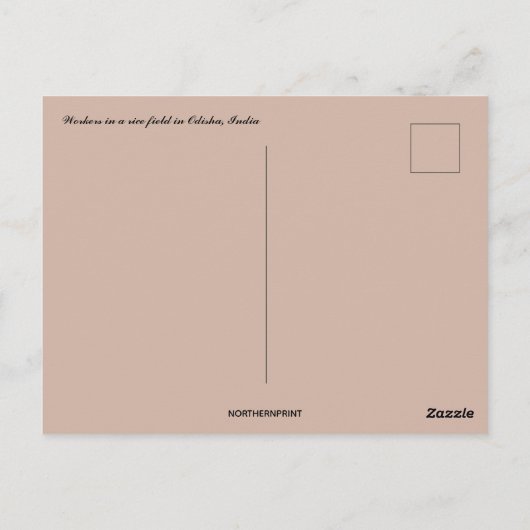 Carte Postale Travailleurs dans une rizière en Odisha Inde (Dos)