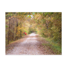 Traveled The Road Less