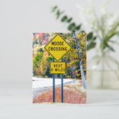 Carte postale Traversant l'orignal (Debout devant)