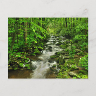 Carte Postale Traversée à moteur des fourches