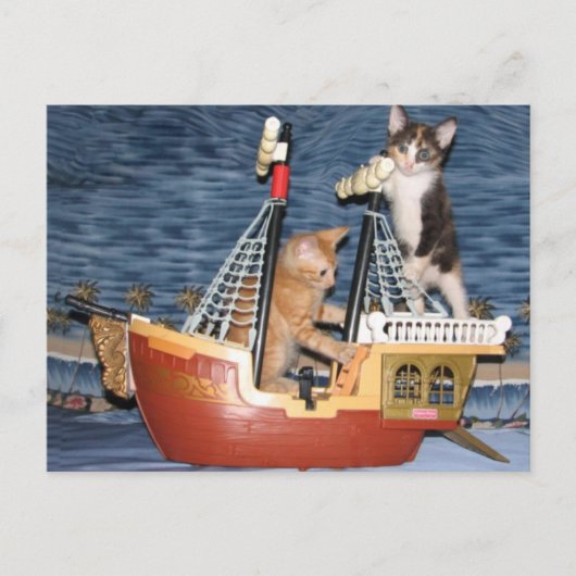 Carte Postale Traversée - Chatons de pirates - Chat / Chatte (Devant)