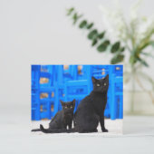 Carte Postale Traversée de la postface du chat perdu noir (Debout devant)
