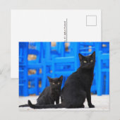 Carte Postale Traversée de la postface du chat perdu noir (Devant / Derrière)