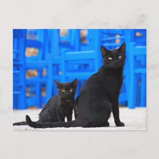 Carte Postale Traversée de la postface du chat perdu noir (Devant)