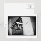 Carte Postale traversée de papillon (Devant / Derrière)