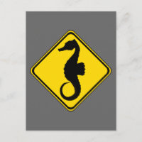Traversée des hippocampes !