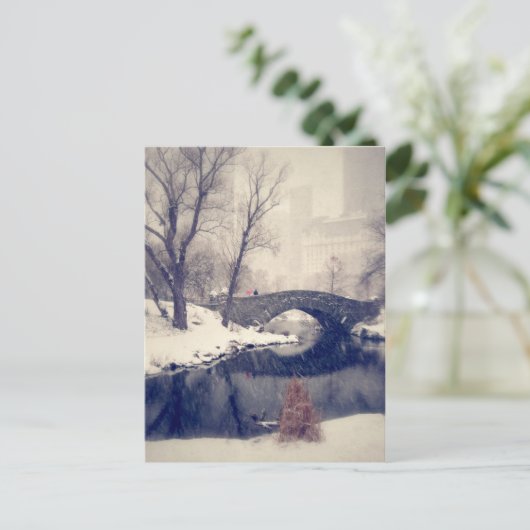 Carte Postale Traverser Des Ponts À Travers La Neige À Central P (Debout devant)