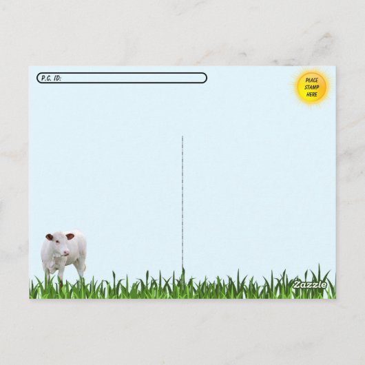 Carte Postale Traverser des tas de vaches et quelques petites ta (Dos)