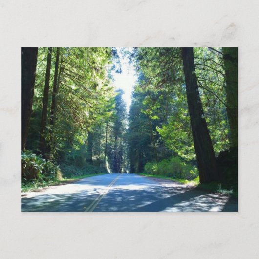 Carte Postale Traverser la forêt à Crescent City (Devant)