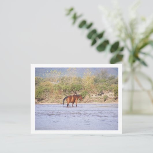 Carte Postale traverser la rivière (Debout devant)