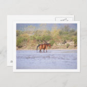 Carte Postale traverser la rivière (Devant / Derrière)