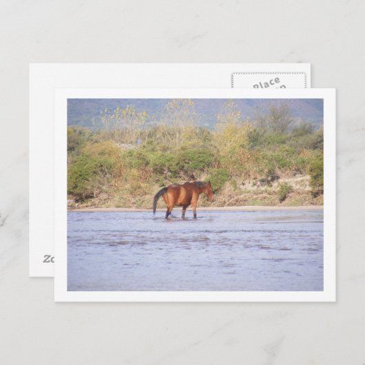 Carte Postale traverser la rivière (Devant / Derrière)