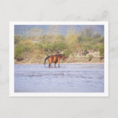 Carte Postale traverser la rivière (Devant)