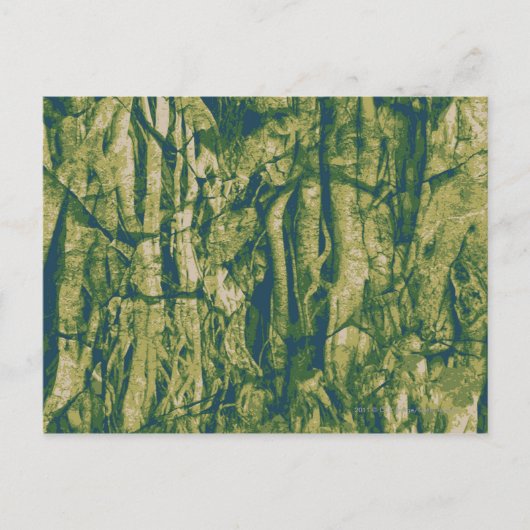 Carte Postale Tree bark camouflage (Devant)