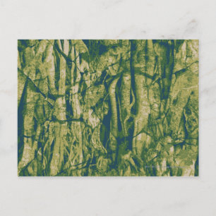 Carte Postale Tree bark camouflage