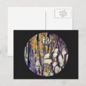Carte postale Tree Bark Yin Yang (Devant / Derrière)