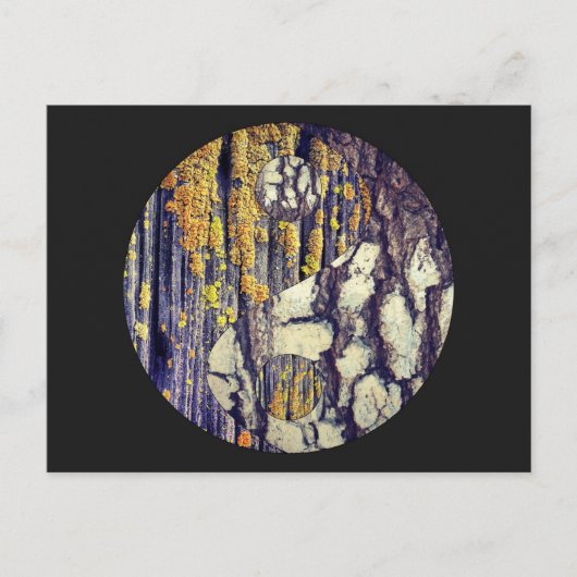 Carte postale Tree Bark Yin Yang (Devant)