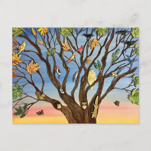 Carte Postale Tree Canopy Postcard (Devant)