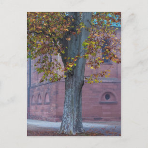 Carte Postale Tree in Cathedral Park   Germany