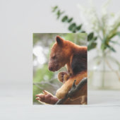 Carte postale Tree Kangaroo (Debout devant)