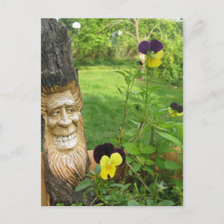 Carte postale Tree man