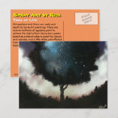 Carte Postale Tree of Life (Devant / Derrière)