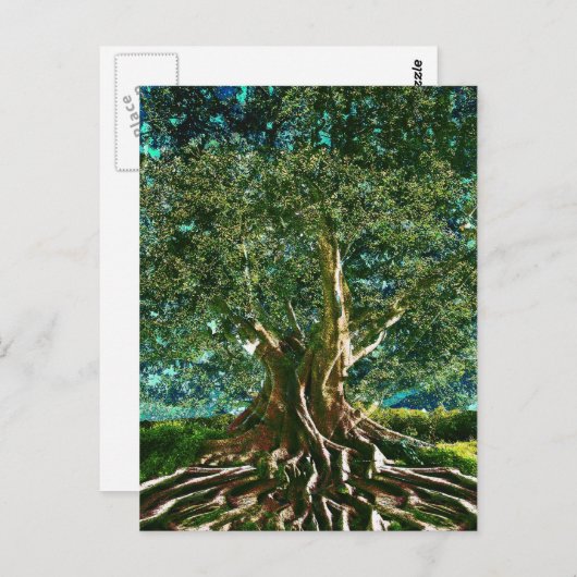 Carte Postale Tree of Life Green (Devant / Derrière)