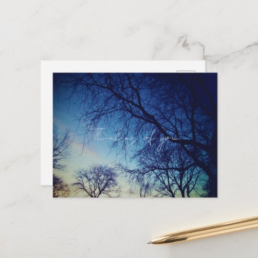 Carte Postale Tree Photography (Devant/Arrière en situation)