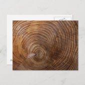 Carte Postale Tree rings (Devant / Derrière)