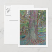 Carte Postale Tree Trunk 1916 (Devant / Derrière)