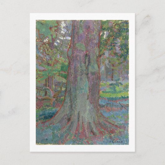 Carte Postale Tree Trunk 1916 (Devant)
