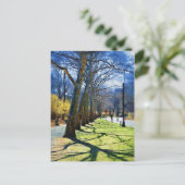 Carte Postale Trees Central Park NY (Debout devant)