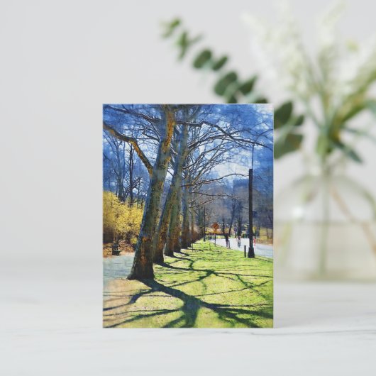 Carte Postale Trees Central Park NY (Debout devant)