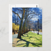 Carte Postale Trees Central Park NY (Devant / Derrière)