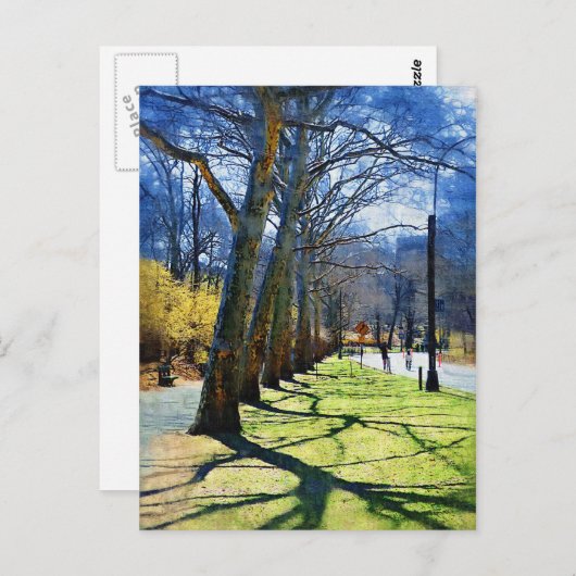 Carte Postale Trees Central Park NY (Devant / Derrière)