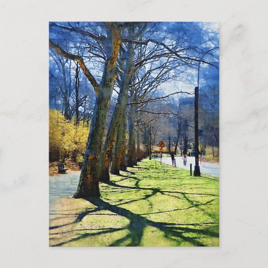 Carte Postale Trees Central Park NY (Devant)