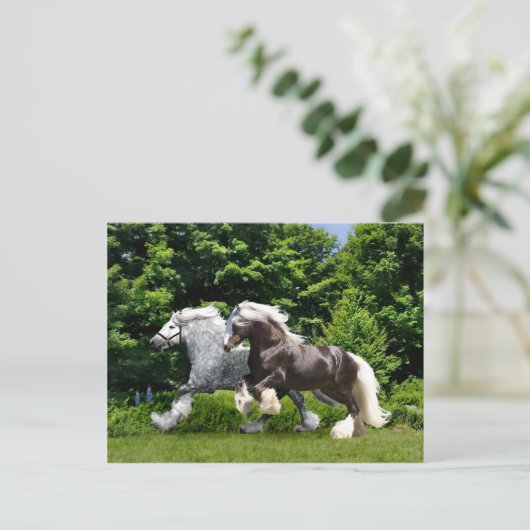 Carte postale "Tremayne & Caspian" (Debout devant)