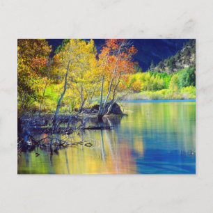 Carte Postale Tremble d'automne se reflétant dans le lac Grant