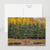 Carte Postale Trembles d'Automne (Devant / Derrière)