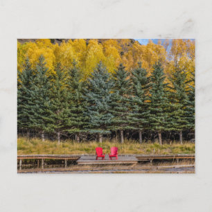 Carte Postale Trembles d'Automne