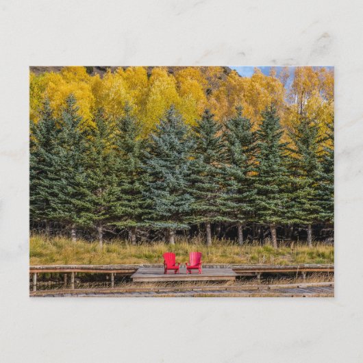 Carte Postale Trembles d'Automne (Devant)