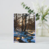 Carte Postale Treppenbach (Debout devant)