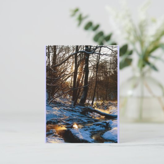 Carte Postale Treppenbach (Debout devant)