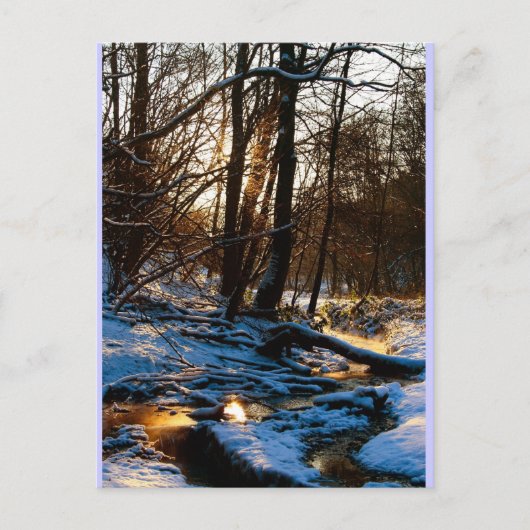 Carte Postale Treppenbach (Devant)