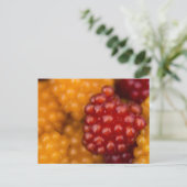 Carte Postale Très Berry (Debout devant)