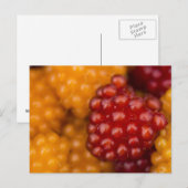 Carte Postale Très Berry (Devant / Derrière)