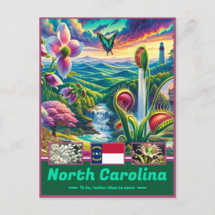Carte Postale Trésors de la Caroline du Nord Paysages majestueux